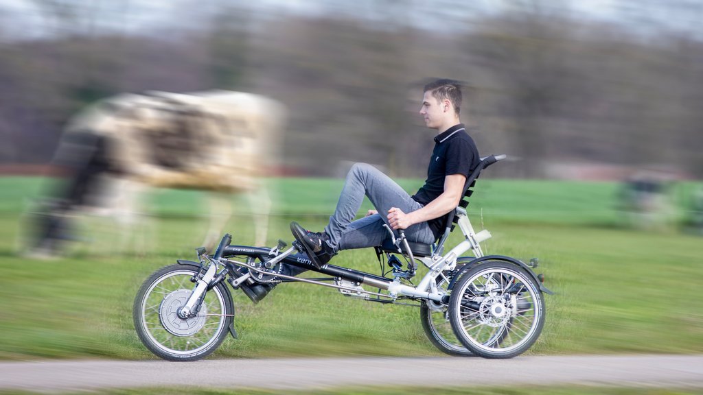 vanraam's tweet photo. Je bent misschien niet zo snel als Max Verstappen🏎, maar met de starthulp van het Van Raam elektrosysteem ben je wel snel op weg! 😃 Lees meer over ons trapondersteuningssysteem 👇
https://t.co/HPe6Kb0BAj
#trapondersteuning #maxverstappen #starthulp #vanraam #letsallcycle https://t.co/6bCi0iOzMC