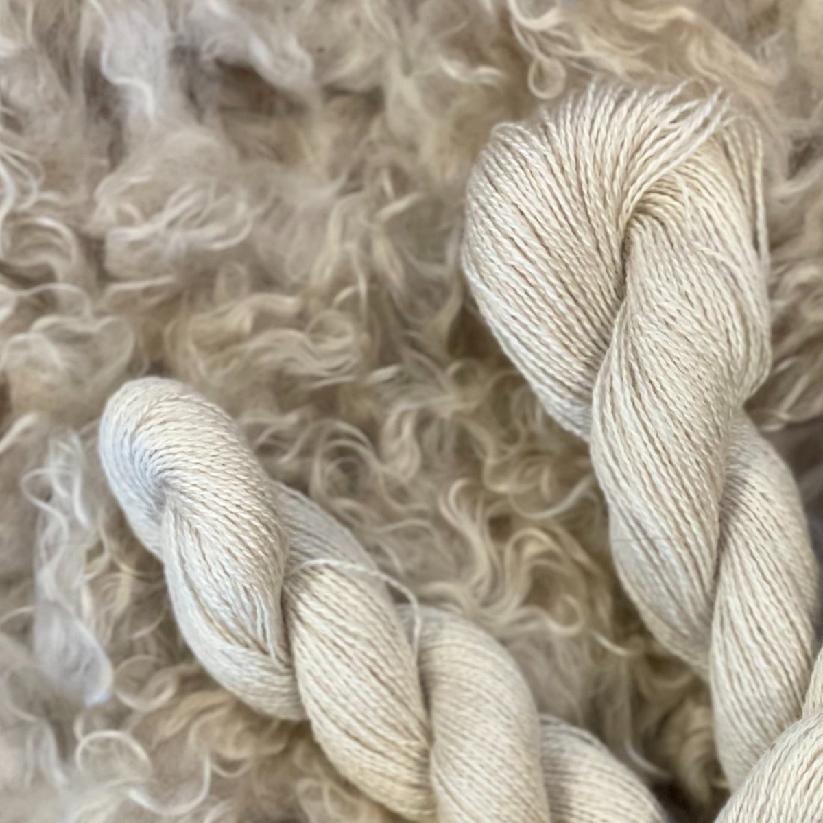 DeniseHebner's tweet photo. Daisy's mohair was blended with silk to produce luxurious lace weight yarn that we call Daisy Silken Mohair. Lightweight yet strong, durable and warm. 
#yarn #buylocal #sustainable #FarmLife #handmade #hebnerfarmette #luxuriousfiber https://t.co/64vA5Lu8hX