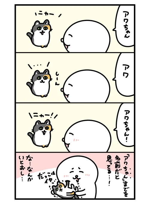 アワちゃん 