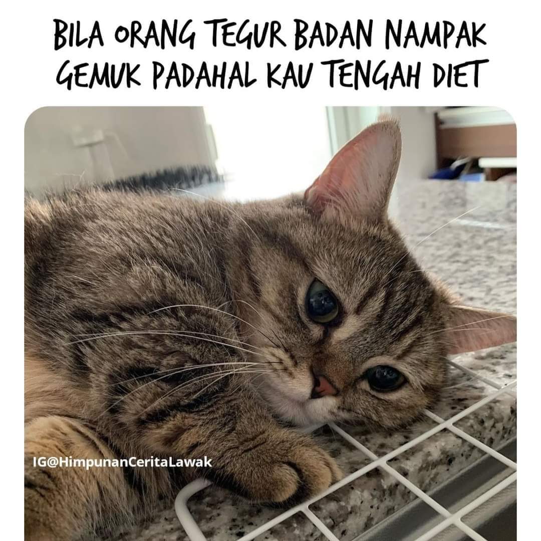 ZafirahAliah1's tweet photo. Jom buktikan.. baru Ada Yang percaya Kan.😍💪💪
Tekan Di bio link nak tahu detail.
Rt dan follow tips sihat. https://t.co/Ta3TlCYE6y