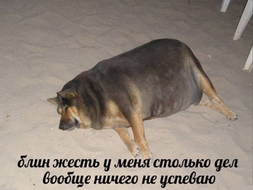 spirtspirit's tweet photo. @villhelmaun ура ура ура держи мемов https://t.co/iUTtnEbL7W