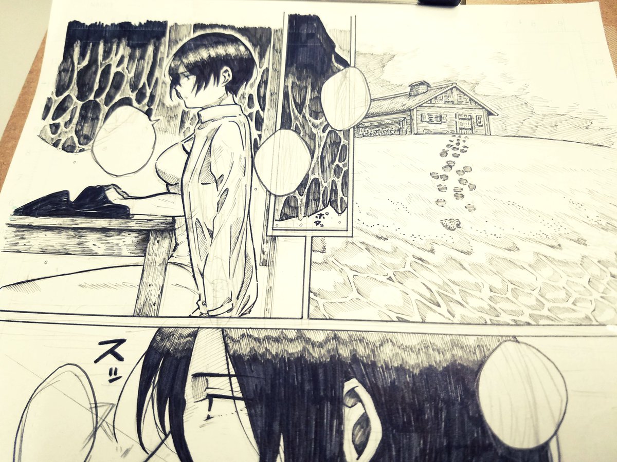 Mikasa 
