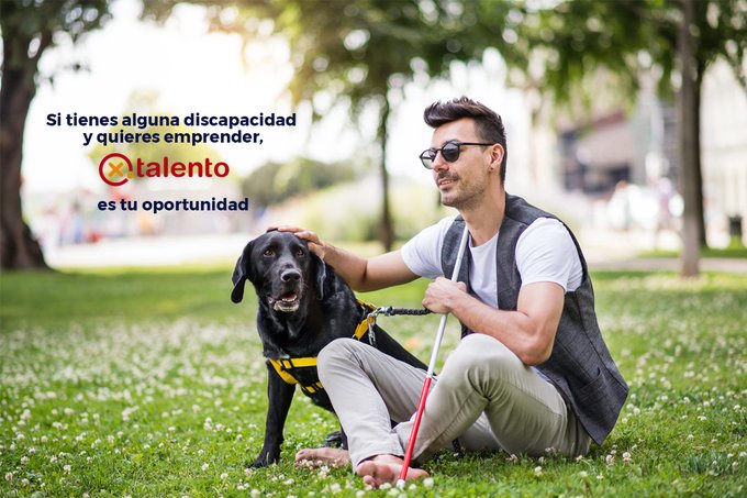 cadecordobaAE's tweet photo. 💪🚀¿Tienes #discapacidad y quieres emprender? 
@Fundacion_ONCE  e Inserta Empleo te acompañarán durante ese camino @portalento_
 
👀👉https://t.co/YnzpAtb0UL https://t.co/xcl7t73hbN