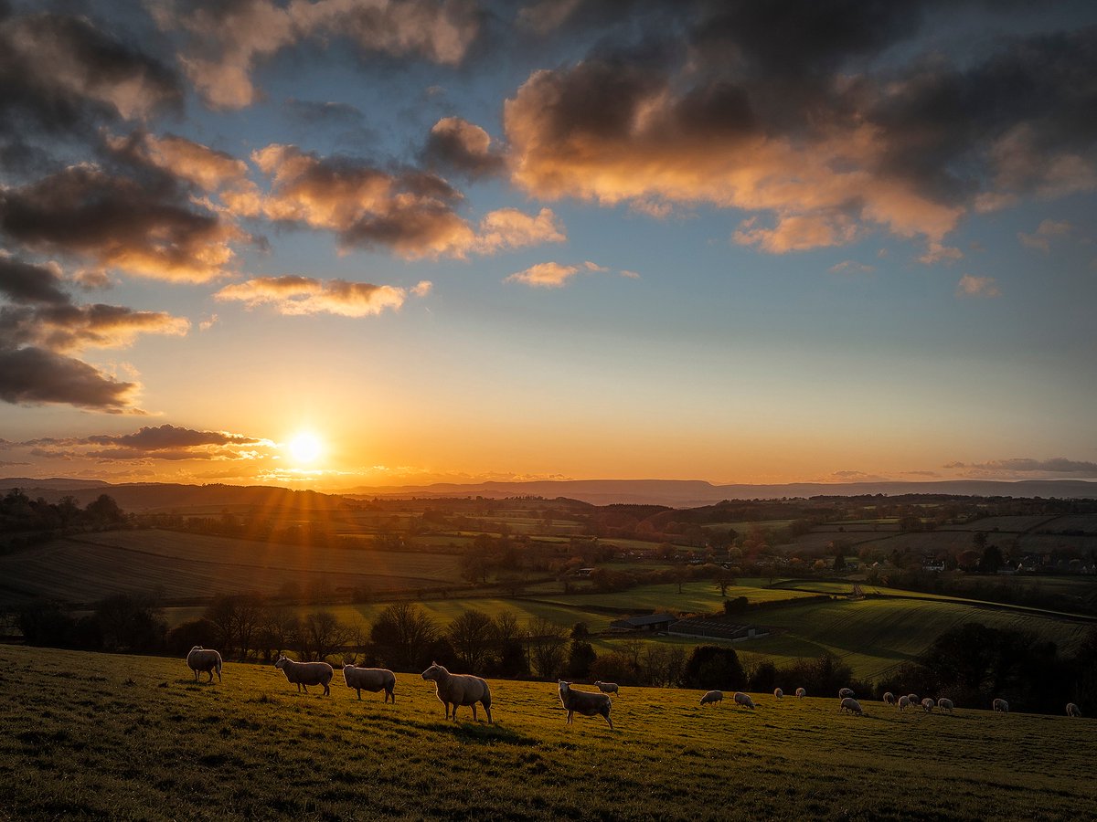 Wye Valley National Landscape tweet media