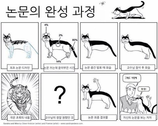 내 기말고사 답안 