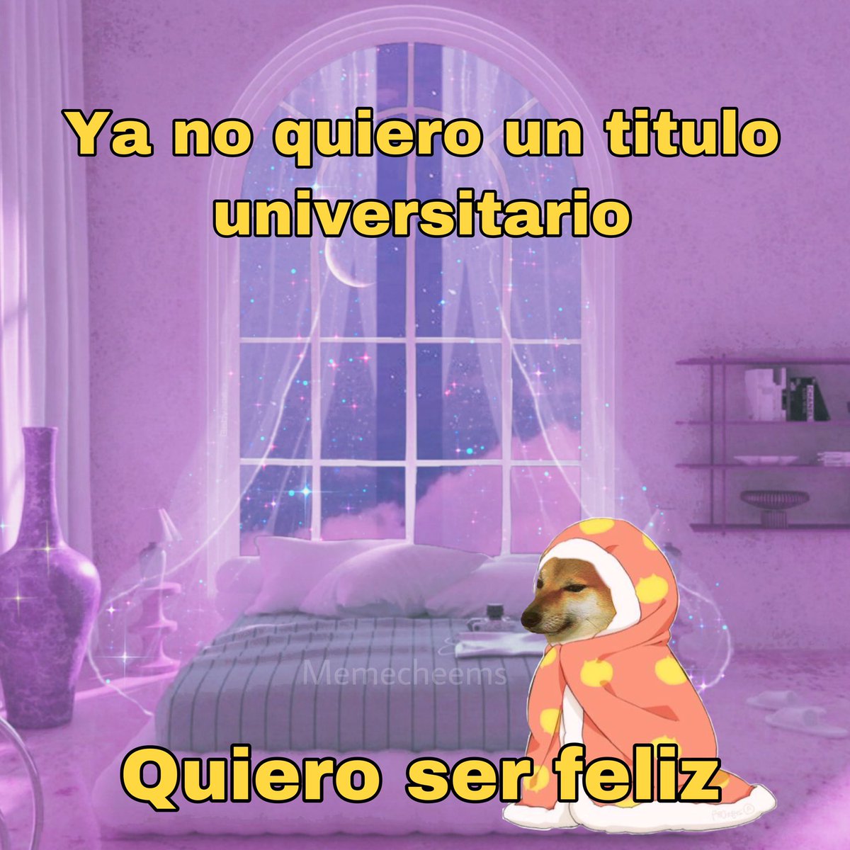 gatitos shitposting (@gatito_shitpost) on Twitter photo 
