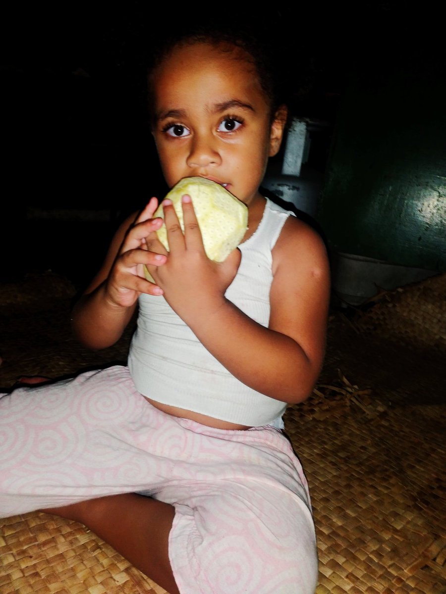 mvilsoni_fj's tweet photo. my uto girl! There's uro ni vonu taro & uto (breadfruit) and she picks the breadfruit #itsawinner 👌
Kids loving the fresh farm produce 🙏🙌 https://t.co/mRg5FSgLQz