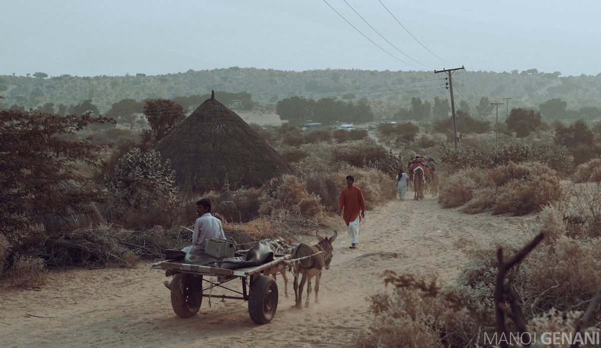 genanimanoj's tweet photo. Glimpses of an evening in #Thar #Sindh #Pakistan https://t.co/YjWQYdcFxk