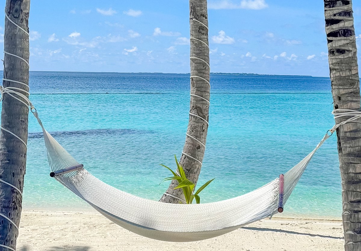 MAXMaldives (@max_maldives) on Twitter photo -30% EB discount from the above room rates.
maxmaldives.com/hotels/saii-la…
#SAii #Lagoon_Resort #SAiiLagoon #SAii_Lagoon_Resort #SAii_Maldives #SAii_Lagoon_Maldives #SAii_Lagoon_Resort_Maldives
maxmaldives.com <a href="/MAX_maldives/">MAXMaldives</a> #MAXMaldives info@MaxMaldives.com -30% EB discount from the above room rates.
maxmaldives.com/hotels/saii-la…
#SAii #Lagoon_Resort #SAiiLagoon #SAii_Lagoon_Resort #SAii_Maldives #SAii_Lagoon_Maldives #SAii_Lagoon_Resort_Maldives
maxmaldives.com <a href="/MAX_maldives/">MAXMaldives</a> #MAXMaldives info@MaxMaldives.com