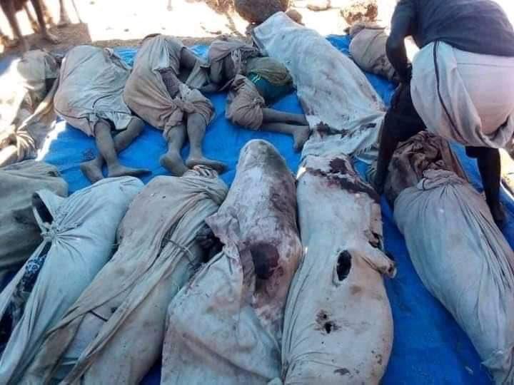TIGRAY_ARABIC's tweet photo. وقال نفس الشاهد :وصلت قوات الأمن الحكومية المكونة من قوات أورومو الخاصة والشرطة الإقليمية والميليشيات إلى الحفل الذي حضره عدد كبير من الناس.
و خطفوا 41 رجلاً واقتيدوا إلى أنول. 
تمكن اثنان منهم من الفرار ثم اُكتشفت الجثث ظهر يوم الخميس 2 ديسمبر
#مجزرة_كارايو 
#انقذو_شعب_اوروميا https://t.co/px4gVa3k5z