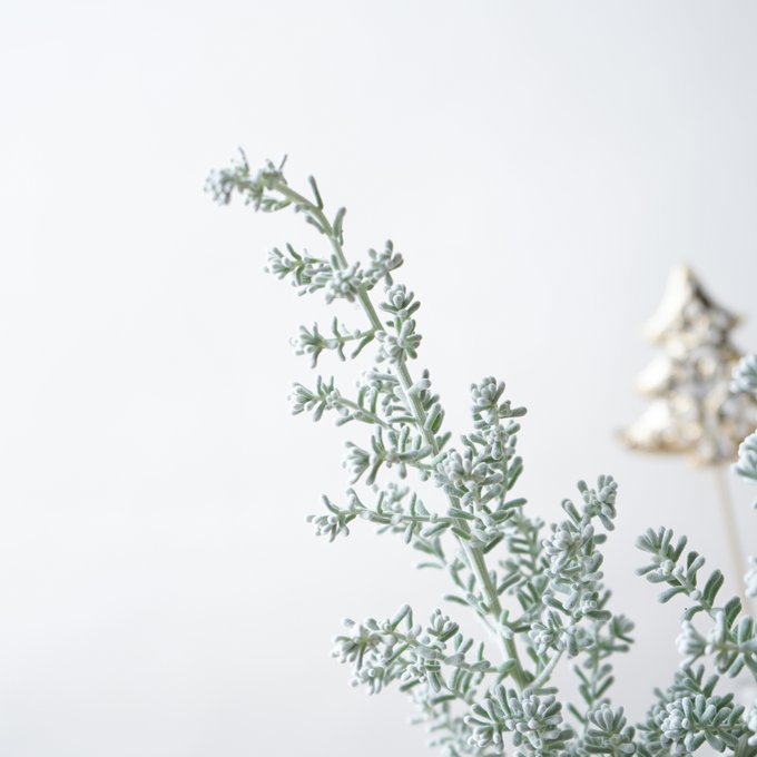 コチアのtwitterイラスト検索結果