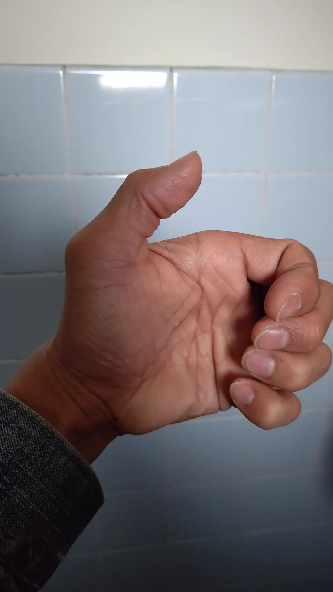 @muscle_penguin_ @kenichi_ohkubo この図の角度を完成させようとしたら指がつる…ちゅうか構造的に無理！ 