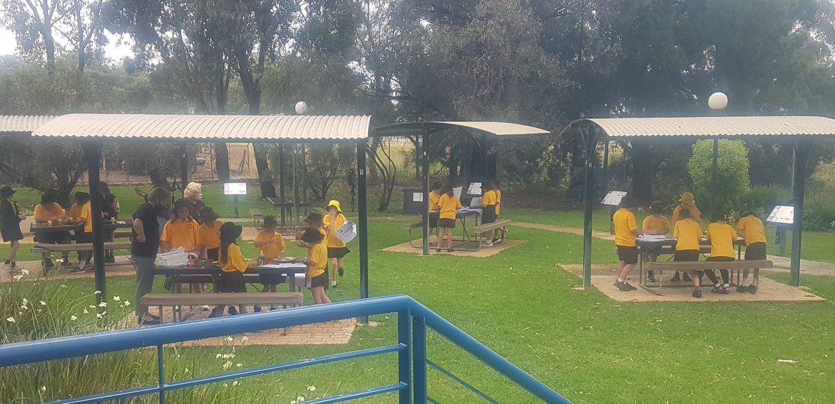 LachlanMid's tweet photo. Great group of 100 Canowindra Public School students hanging out with Wooly and Trudi last week enjoying interactive sessions making mud and identifying ways of protecting wildlife, using stickers. Learning about the importance of soil structure and wildlife corridors. https://t.co/Pv4qk3n5uN