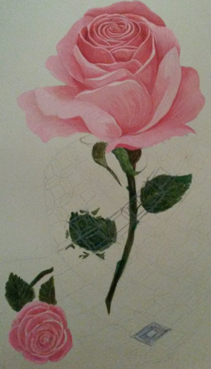 RolkemSA's tweet photo. This painting by Victor Helberg is a watercolor painting on Canvas using Rolkem Rainbow spectrum Rose and baby pink to create the different pink hues. The green used was Rolkem Rainbow spectrum leaf Green. https://t.co/rXKnE7PSOV