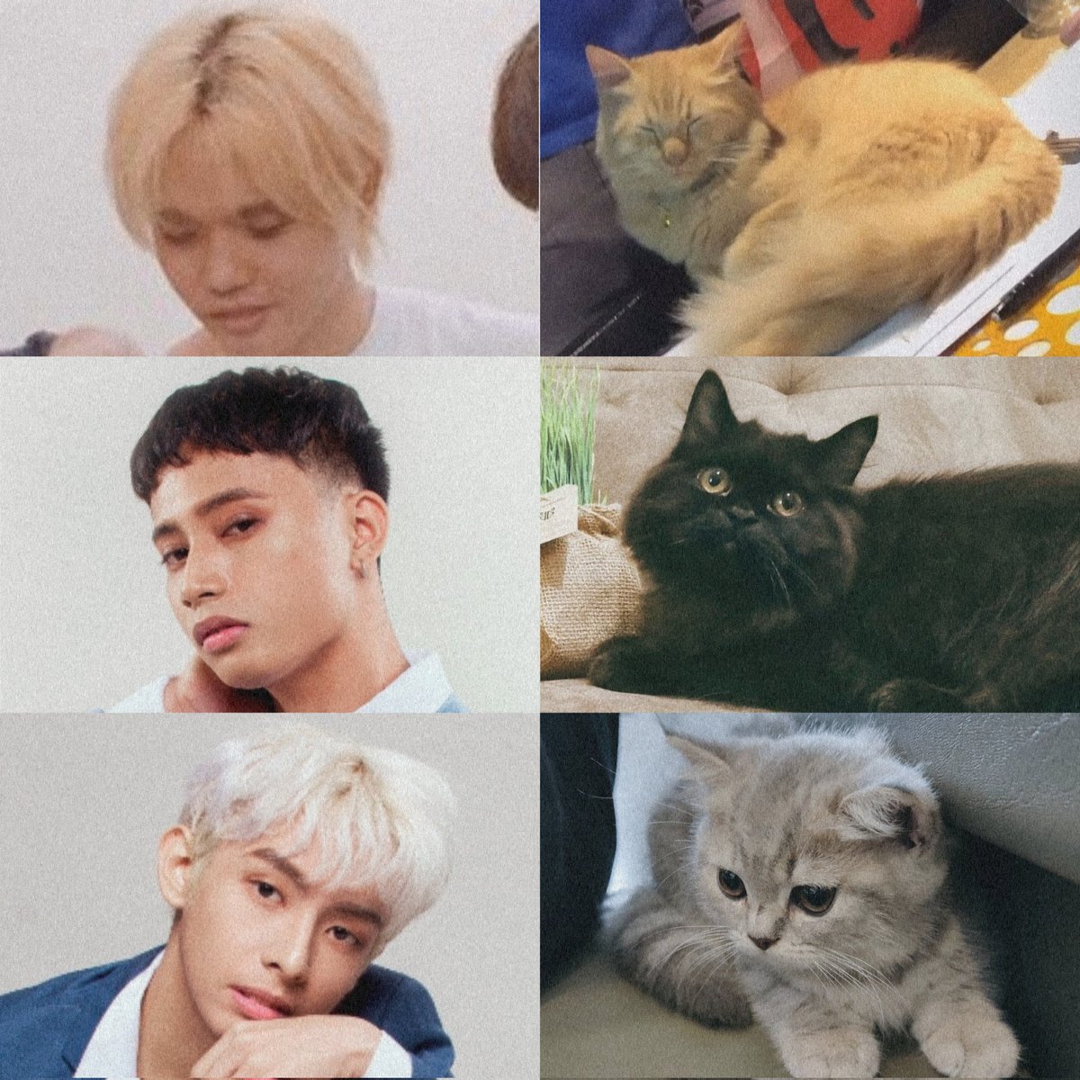 onlysekentin's tweet photo. sekentin 🤝🏼 ponkurse 😹

@imszmc @keun16308352 @jah447798

@SB19Official #SB19_SEKENTIN
Stream #Bazinga_SB19 MV https://t.co/CPtjPG2uMV