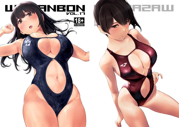 冬コミの新刊、WASANBON vol.17 表紙と裏表紙はこんな感じです 赤城と加賀の色が逆ですが双方水着を交換してると思ってあら〜と思ってください 