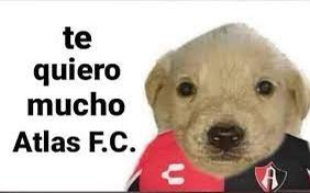 Tsupapi's tweet image. Qué bonito se siente ser del Atlas. 🦊❤🖤