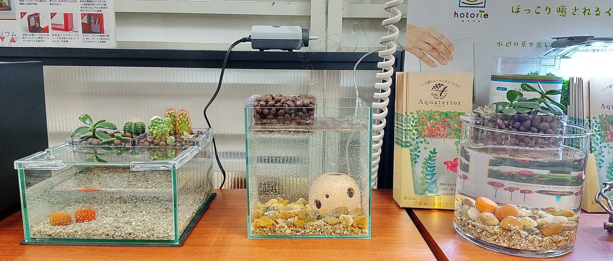 東急ハンズ名古屋店 8階 ペットファースト 水作の アクアテリア を新たに導入しました 部屋に水と魚と緑で癒される空間を 水槽にハイドロカルチャー 水耕栽培 ができるプランター付です 観葉植物は商品のセットに含まれません T Co