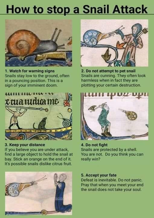 Monday is for medieval memes #memesdaily #Mondayvibes #medievaltwitter