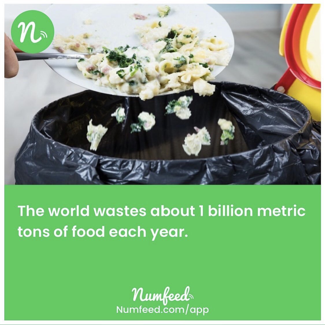 numfeed tweet media