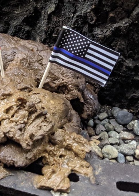 Portland Police ᵖᵃʳᵒᵈʸ tweet media