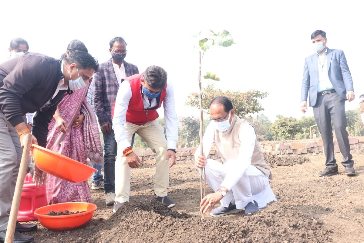 ChouhanShivraj's tweet photo. आज स्मार्ट पार्क में आर 1 आईएनसी के साथी श्री पवन देशपांडे, श्री देवेन्द्र शाक्य, श्रीमती शालिनी देशपांडे, श्री गजेन्द्र शाक्य के साथ पीपल का पौधा लगाया। संस्था 3R- रीसायकल, रिडयूज, रियूज के आधार पर पर्यावरण संरक्षण और कचरा प्रबंधन के लिए प्रयासरत है। #OnePlantADay https://t.co/SCp2fjH8tK