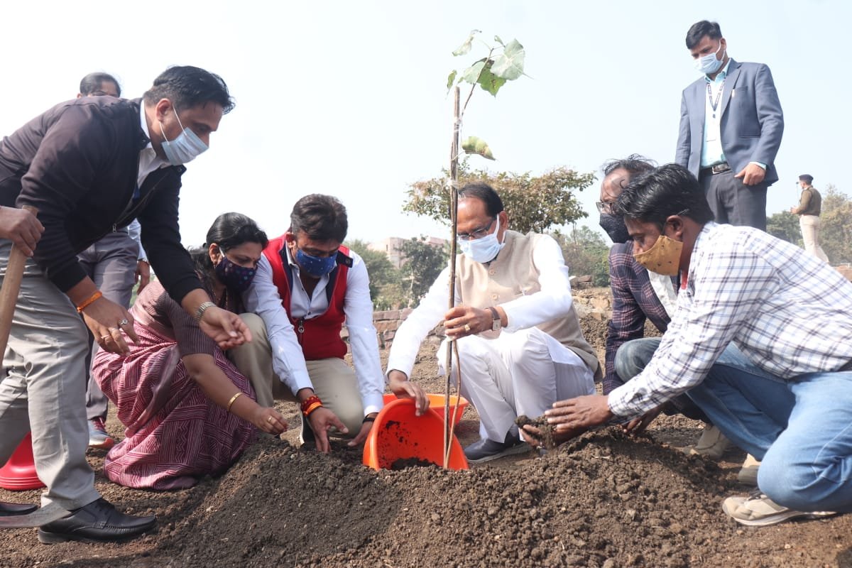 ChouhanShivraj's tweet photo. आज स्मार्ट पार्क में आर 1 आईएनसी के साथी श्री पवन देशपांडे, श्री देवेन्द्र शाक्य, श्रीमती शालिनी देशपांडे, श्री गजेन्द्र शाक्य के साथ पीपल का पौधा लगाया। संस्था 3R- रीसायकल, रिडयूज, रियूज के आधार पर पर्यावरण संरक्षण और कचरा प्रबंधन के लिए प्रयासरत है। #OnePlantADay https://t.co/SCp2fjH8tK