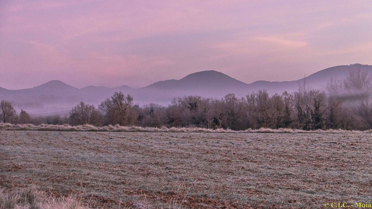 MeteoMoia's tweet photo. Bon dia! T.1ºC Hum.94% #Albada amb #borines i #gebrades pel #Moianès @bcnmoltmes @AlfredRPico @ARAmeteo @meteocat @Cat_Meteo @alcantara_alb @gemmapuigf @soniaPapell @eloicordomi @TomasMolinaB @eltempsTV3 https://t.co/xLWtG0WElX
