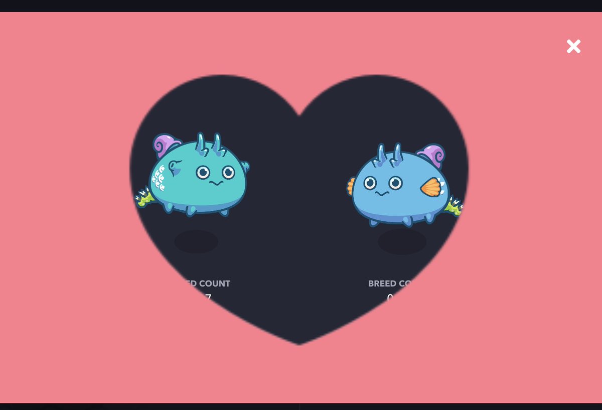 DAN@AxieManagerJP tweet media