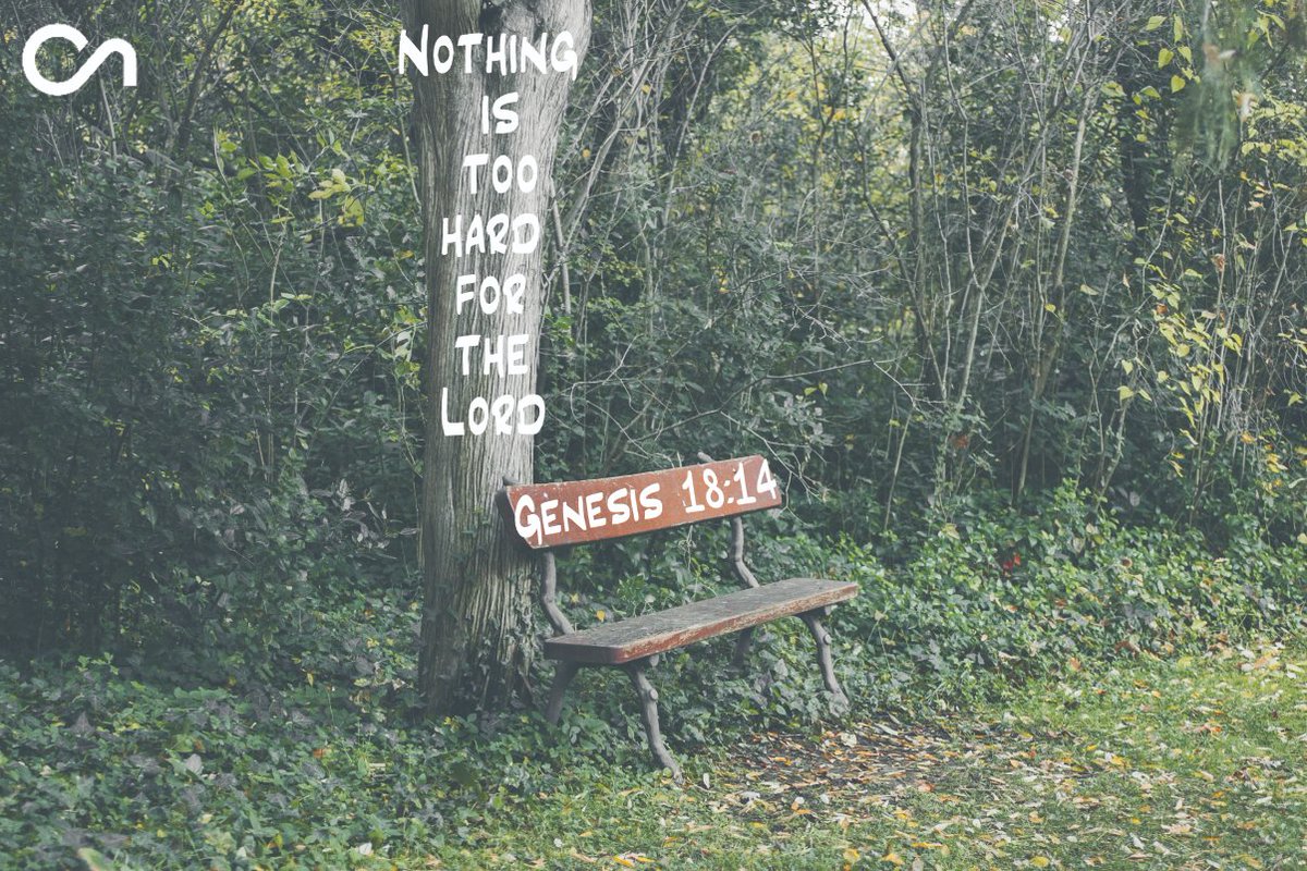 chatnowfindhope's tweet photo. God really can do anything! Keep looking to Him... https://t.co/RtGaedTEgX #chatnow #anything #look #looking https://t.co/8JgzKj2hWK