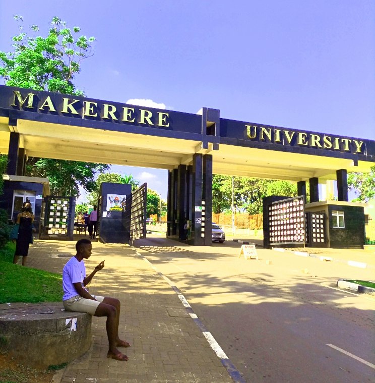 🎓 Economist 🕵📈 tweet media