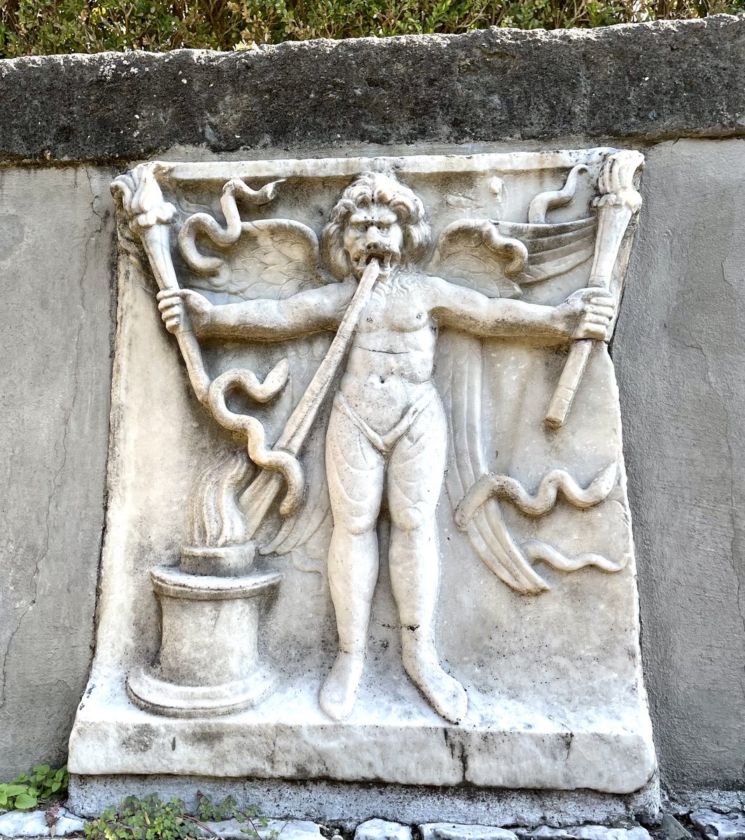 Very elegant study and presentation <a href="/AlbaRMeira/">Alba Meira</a> <a href="/AdamMead_Oxford/">Adam Mead</a> #ASH21 #MPNsm 👏👏👏

Luckily we don't see expansion of TP53 mutant clones in patients treated with #IFN suggesting that inflammatory effect is outweighted by other biological properties... #MiceAreNotSmallHumans