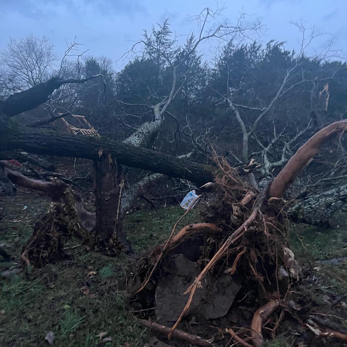lacytaylor23's tweet photo. @NashSevereWx We are on Old Lebanon Dirt Road in Mount Juliet.  Here are some pics of our yard/barn right past the county line.  That building is our storage barn @WilsonSevereWX https://t.co/nkV7qtlNsT