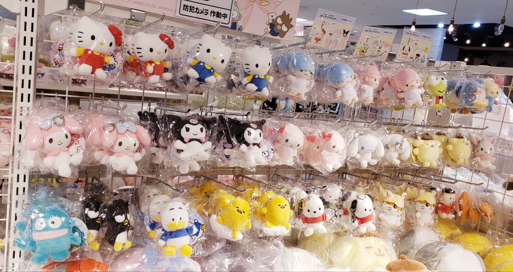 むにゅぐるみパティオ 名古屋近鉄パッセ店 新商品情報 スタンダードマスコット サンリオ キャラがなんと21種類 是非店頭に推しを探しにきてください 名古屋近鉄パッセ５階 むにゅぐるみパティオで 皆様のご来店をお待ちしております