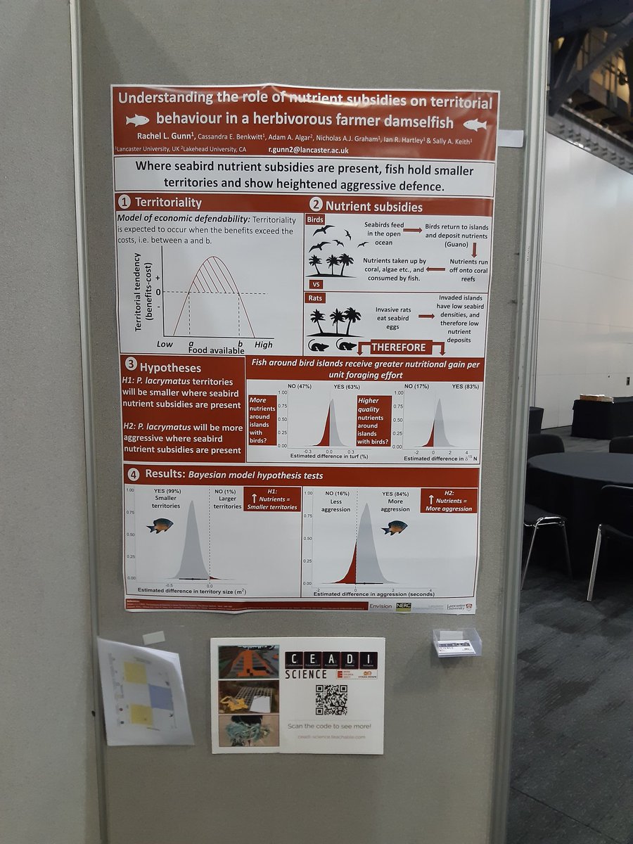 RachelGunn5's tweet photo. Want to know how seabird poop influences fish behaviour? I mean who wouldn't! Looking forward to this evenings poster session #EAB2021
-
@CEADI_science is of course making an appearance as well!
-
#ScienceShouldBe #CEADI https://t.co/Ww6FhOiknI