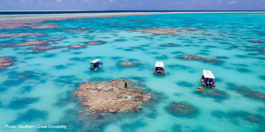 IUCN's tweet photo. 🔔2021 marked the start of #GenerationRestoration address the widespread degradation of ecosystems. 

Our new guide shows how the IUCN @redlisteco can be applied to #ecosystem restoration https://t.co/9nCiGC7hX7 https://t.co/Q6zodzblCV