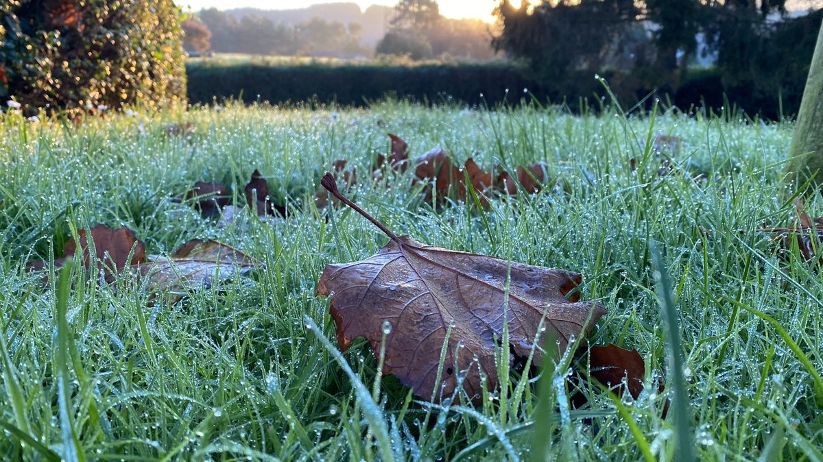 Cruzisima's tweet photo. Sensación de frío y frío!! 6 grados y 4 de sensación térmica.. prao de Valliniello.. @aquilatierratve @ElTiempo_tve @eltiempotpa @tiempobrasero https://t.co/NhQseuNi76