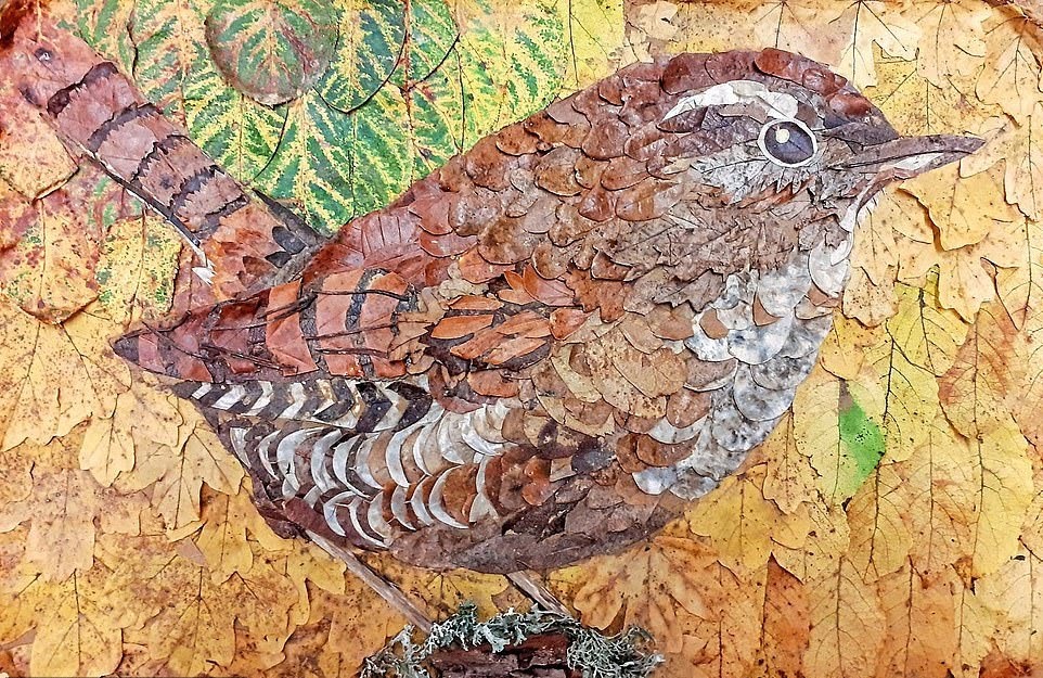womensart1's tweet photo. UK born artist Diana Cotter creates artworks featuring wildlife with hundreds of coloured leaves from her garden #WomensArt https://t.co/gObvEPAZNd
