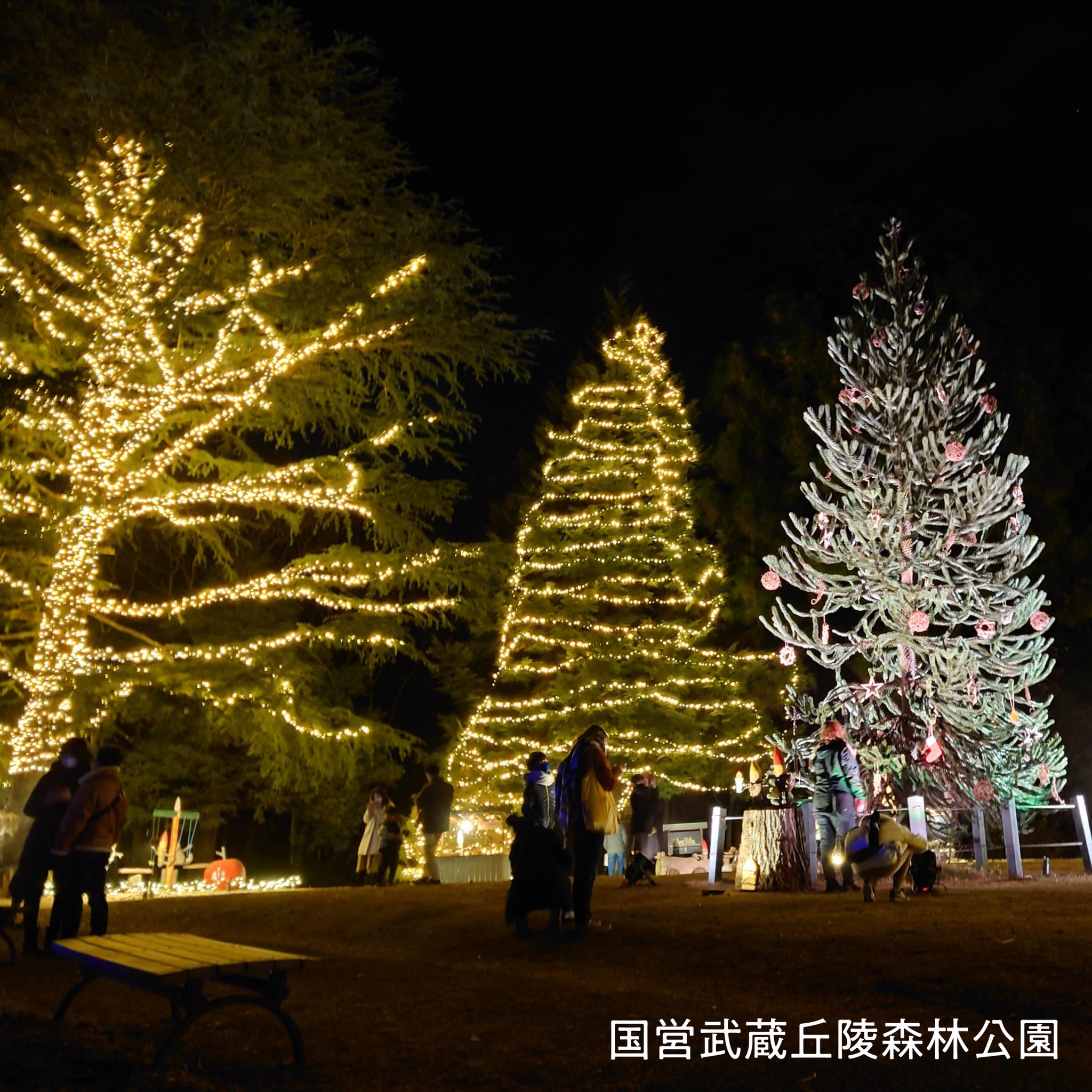 Twitter এ 国営武蔵丘陵森林公園 スターライトイルミネーション を ちょこたび埼玉観光情報局で紹介いただきました いよいよ残すところ12 24 金 25 土 26 日 開催のみですよ T Co Fz3qfdrorv ご来園時のお願い をご確認いただき 感染拡大防止