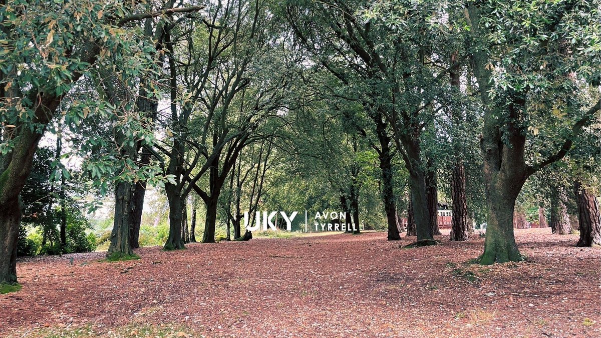 AvonTyrrell's tweet photo. Did you know?!
That this is where the horses and carriages used to travel in order to reach the main house.
We 💙 all the heritage on-site.
#hertiagesite #thenewforest #factforyou https://t.co/UGLCN13bXH
