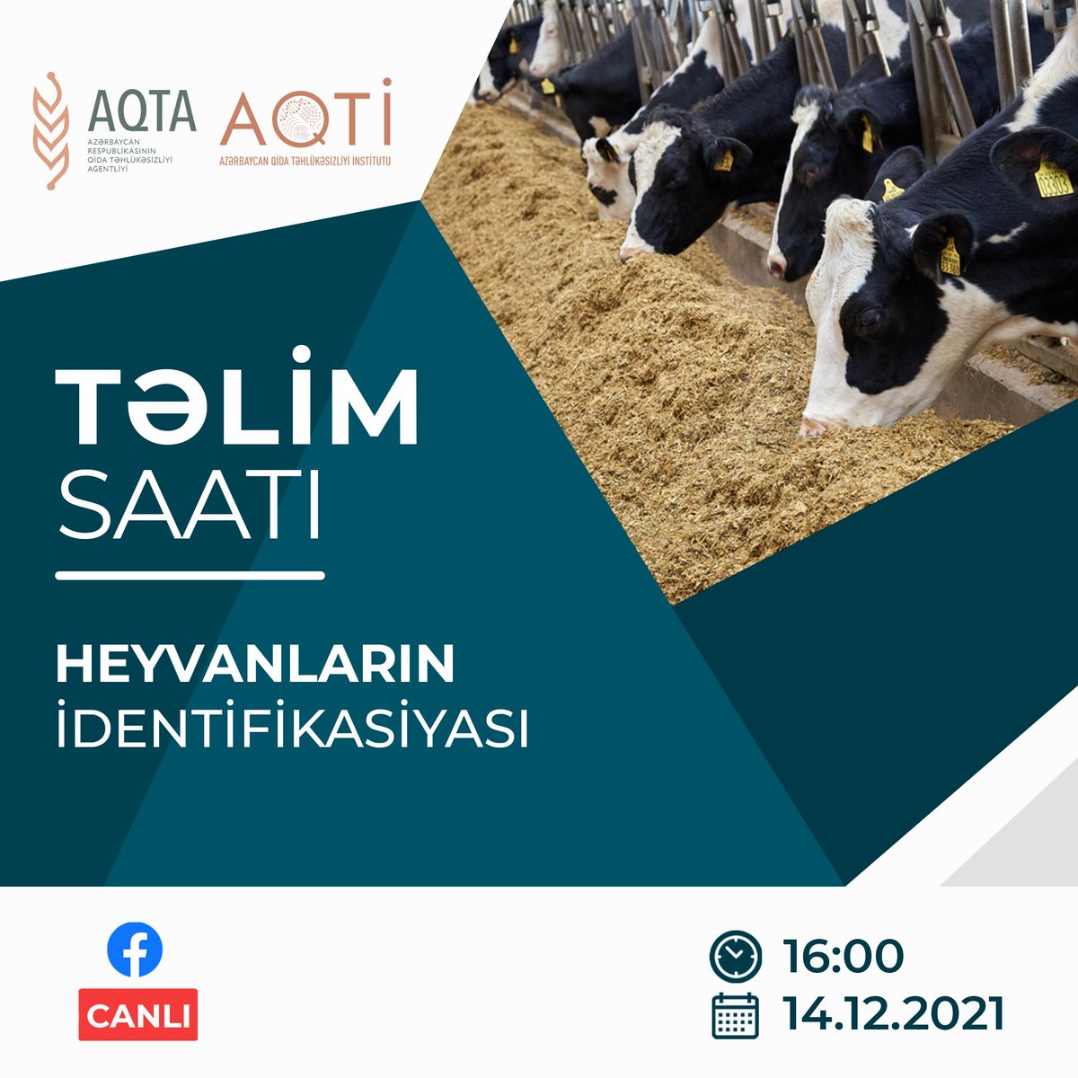 Afsa gov az. Afsa gov az. Хамкорлик. Afsa gov az. Sspf gov.