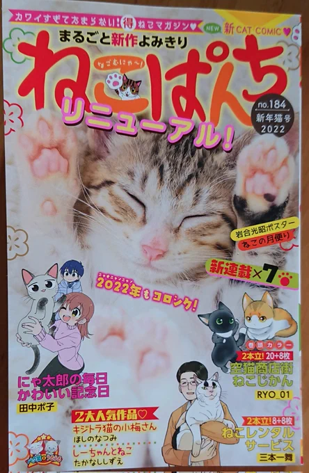 12月13日発売『ねこぱんち』新年猫号「ねこのしまぐらし」というタイトルで三回連載始まります是非ともお手にとっていただけると嬉しいです。よろしくお願いいたします#ねこぱんち #猫漫画 