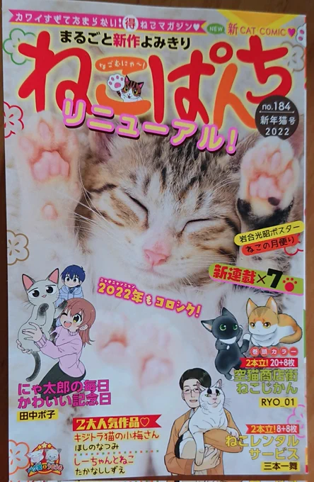 12月13日発売『ねこぱんち』新年猫号
「ねこのしまぐらし」というタイトルで三回連載始まります🐱✨
是非ともお手にとっていただけると嬉しいです。よろしくお願いいたします🙇✨
#ねこぱんち #猫漫画 