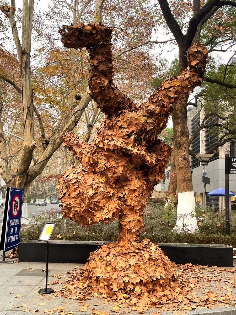 CAAofficialEN's tweet photo. This yearโs annual Autumn Leaves Art Festival of #CAA began on Dec 11 and will last until Dec 31, featuring ten sets of autumn leaf sculptures built with golden sycamore leaves. Check out these creative works! #Art #University #BeautifulCAA https://t.co/ZSWtY9a1Z8