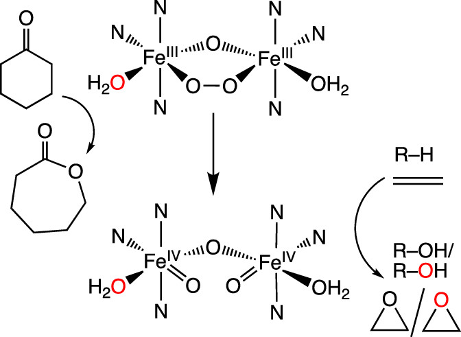 bhkenlo's tweet photo. Nonheme Diiron Oxygenase Mimic That Generates a Diferric–Peroxo Intermediate Capable of Catalytic Olefin Epoxidation &amp; Alkane Hydroxylation Including Cyclohexane https://t.co/e6lU8YRk6V Kaizer, Que, and co-workers @InorgChem 📢Communication📢
#iron #diferric #peroxo #catalysis
⏱️ https://t.co/Ms1tMMwDam