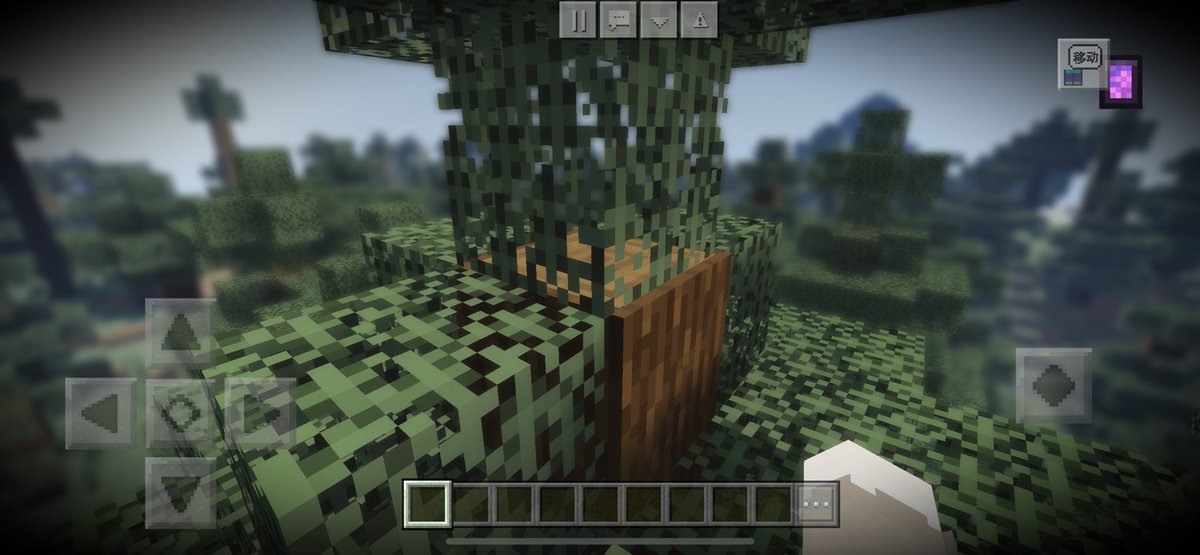 Junhao_hu's tweet photo. depth of field in MCPE🔥 https://t.co/iAANS60pp1