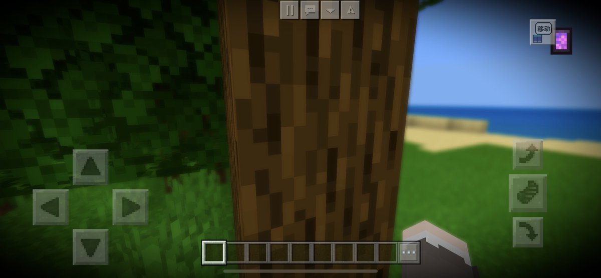 Junhao_hu's tweet photo. depth of field in MCPE🔥 https://t.co/iAANS60pp1