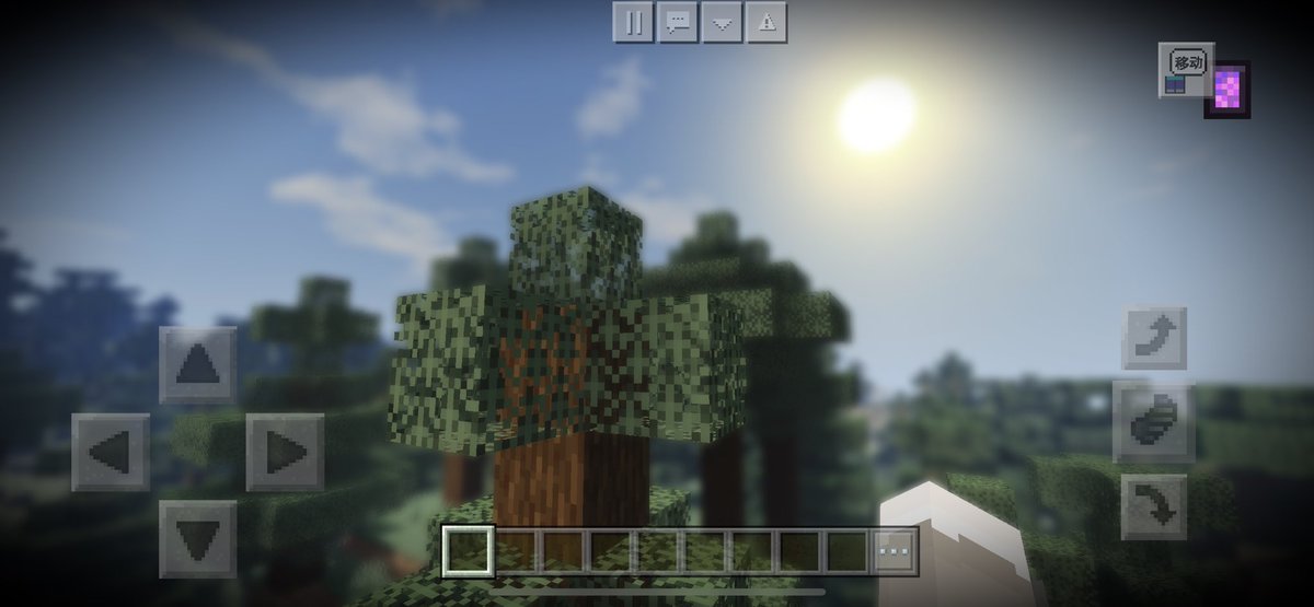 Junhao_hu's tweet photo. depth of field in MCPE🔥 https://t.co/iAANS60pp1