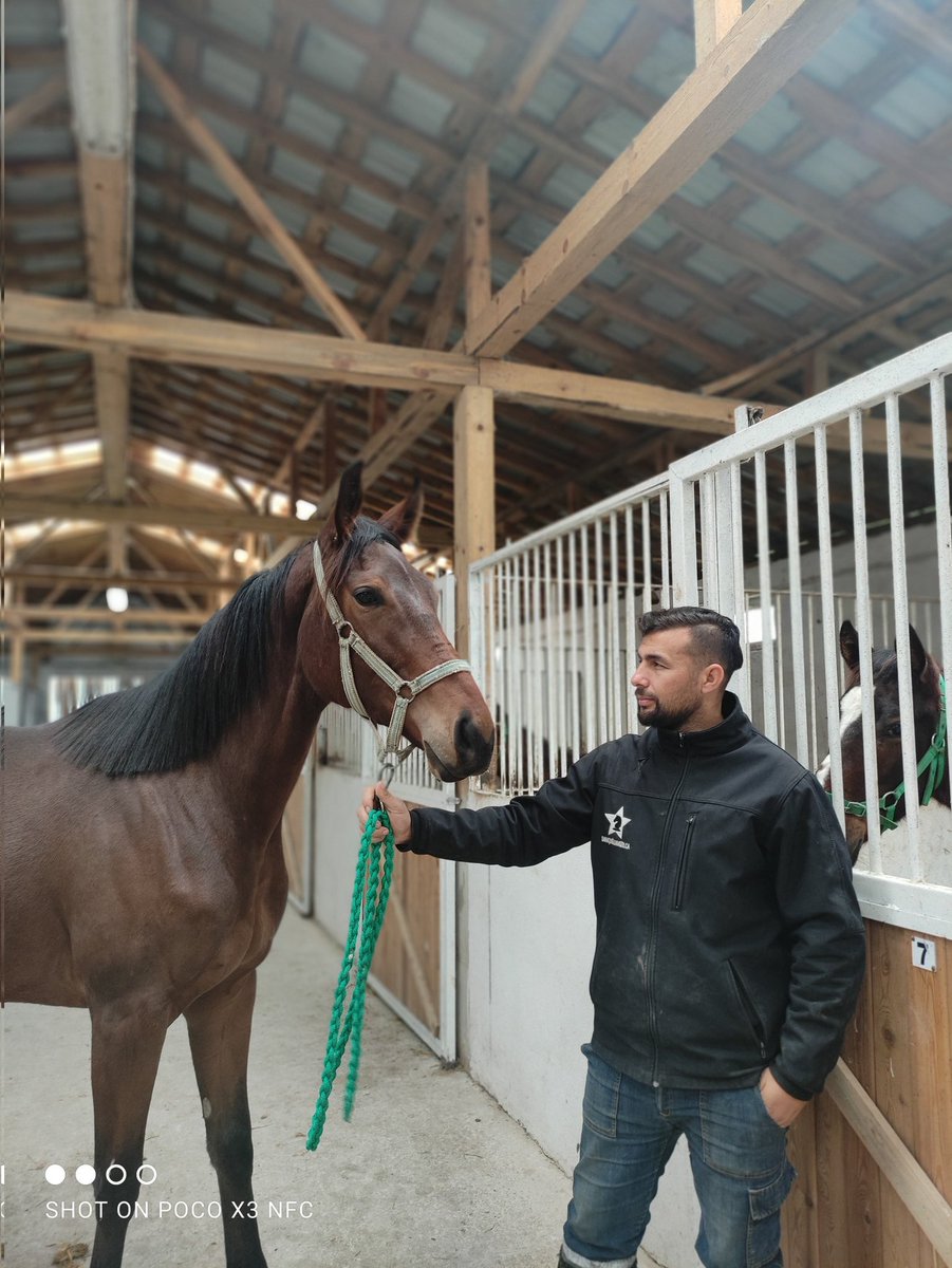 Tuncay Sülü (@tuncay_sulu) on Twitter photo 