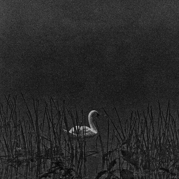 Have a great day, take care of yourself and don't forget to drink water!««•°